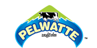 Pelwatte